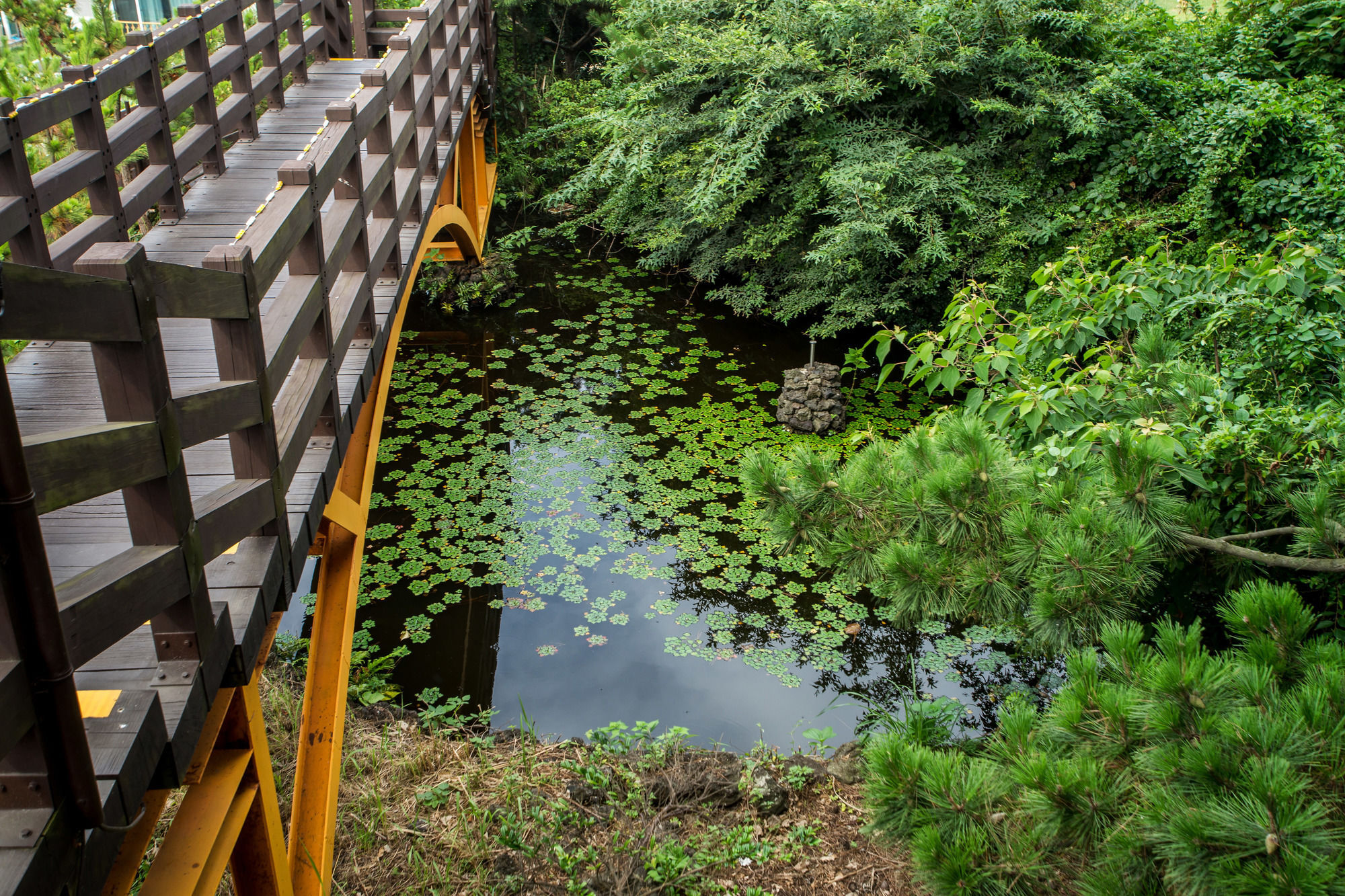 Witch'S Broomstick Jeju Bagian luar foto